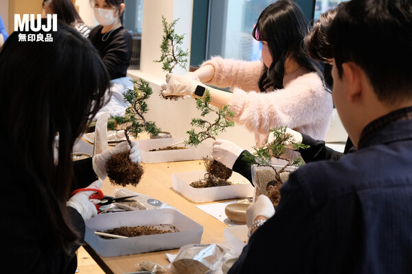 ▲무인양품 강남점 Open MUJI에서 '진백나무 분재' 워크숍을 진행했다.