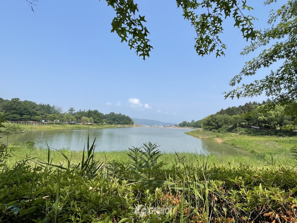 ​충주 호암지 전경01 / 사진=이강훈 기자