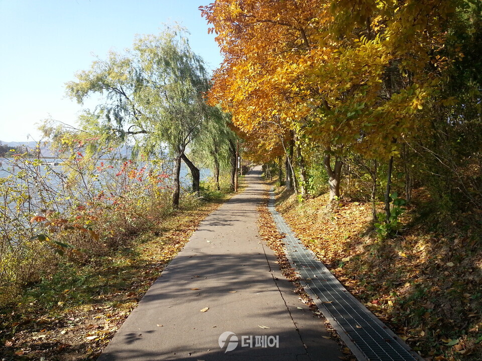 충주 호암지 전경10 / 사진=이강훈 기자