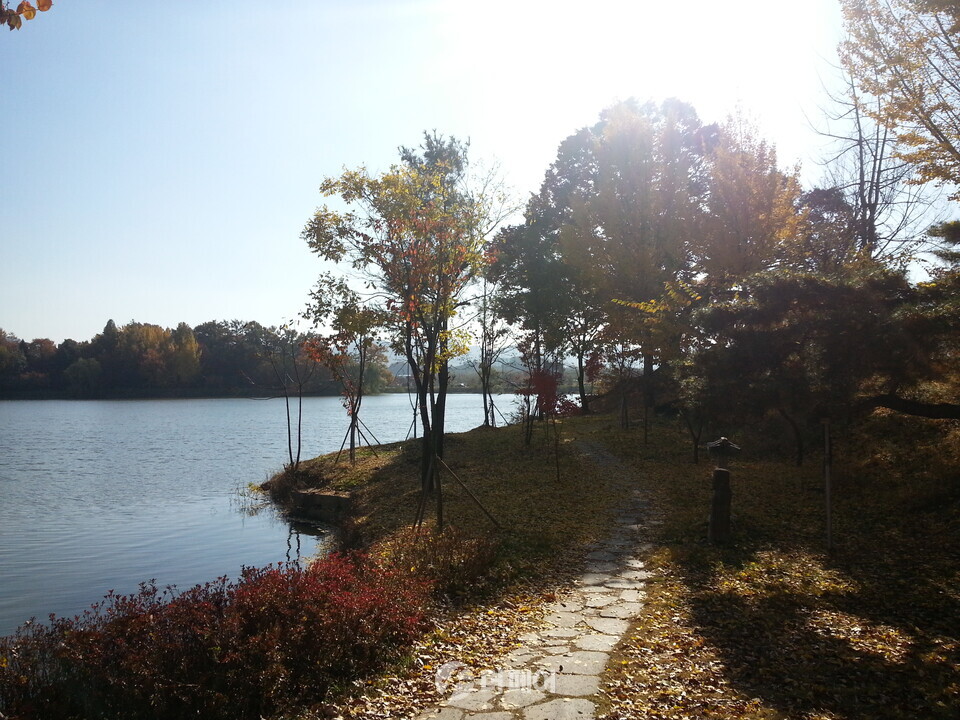 충주 호암지 전경12 / 사진=이강훈 기자