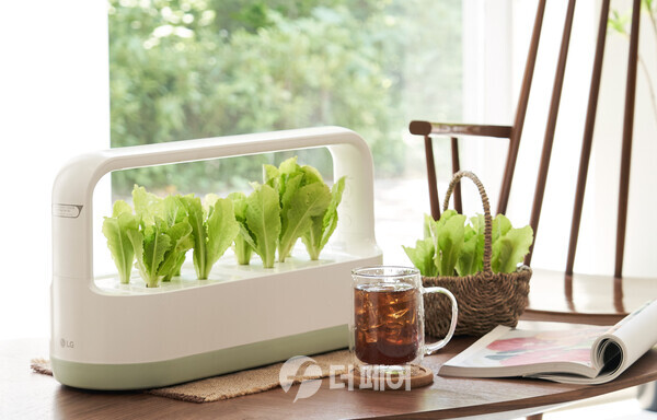 LG전자가 LG 틔운과 틔운 미니에서 씨앗을 직접 심고 반려식물 생활을 즐기는 ‘모듈형 씨앗키트’를 17일 출시한다. 다 자란 식물 모듈은 다른 장소에 옮겨 감상하거나 화분에 옮겨 심을 수 있다. / 사진제공=LG전자