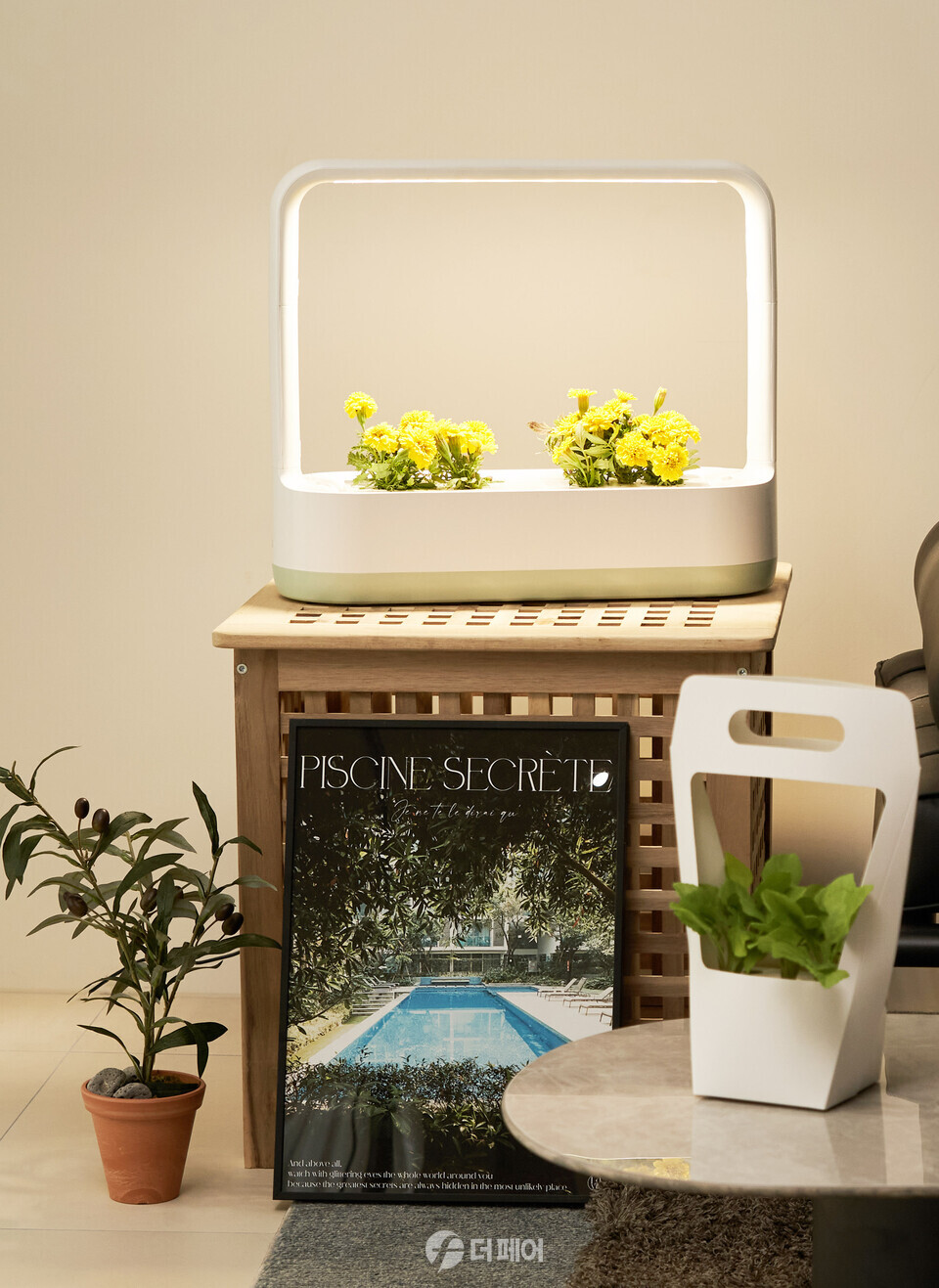 LG전자가 LG 틔운과 틔운 미니에서 씨앗을 직접 심고 반려식물 생활을 즐기는 ‘모듈형 씨앗키트’를 17일 출시한다. 다 자란 식물 모듈은 다른 장소에 옮겨 감상하거나 화분에 옮겨 심을 수 있다. / 사진제공=LG전자