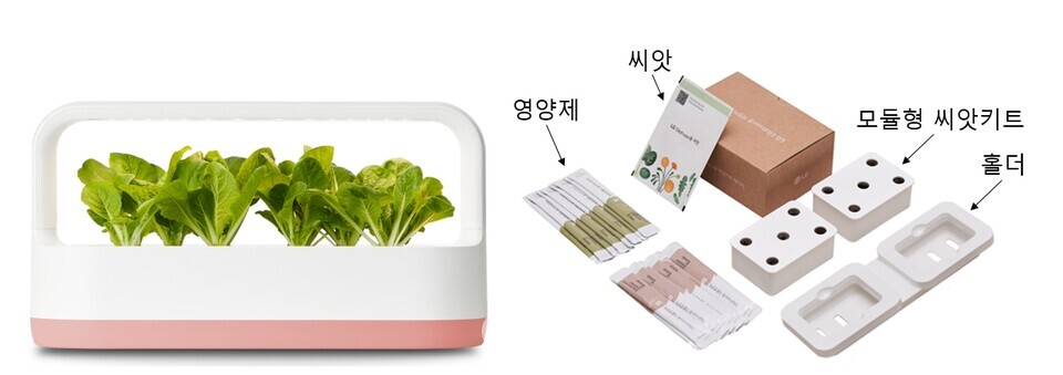 LG전자가 LG 틔운과 틔운 미니에서 씨앗을 직접 심고 반려식물 생활을 즐기는 ‘모듈형 씨앗키트’를 17일 출시한다. 다 자란 식물 모듈은 다른 장소에 옮겨 감상하거나 화분에 옮겨 심을 수 있다. 사진은 모듈형 씨앗키트와 홀더를 포함한 LG 틔운 미니 신제품 구성. / 사진제공=LG전자