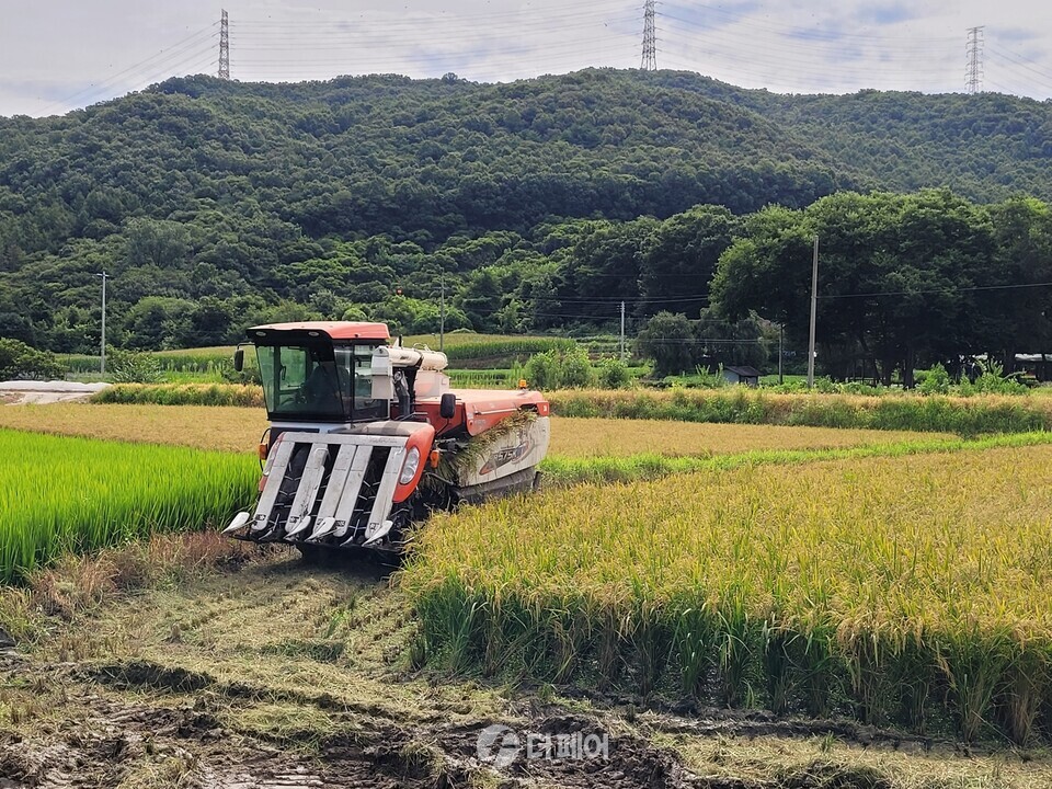 앙성면에서 올해 첫 벼베기 / 사진제공=충주시
