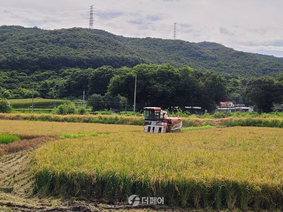 앙성면에서 올해 첫 벼베기 / 사진제공=충주시