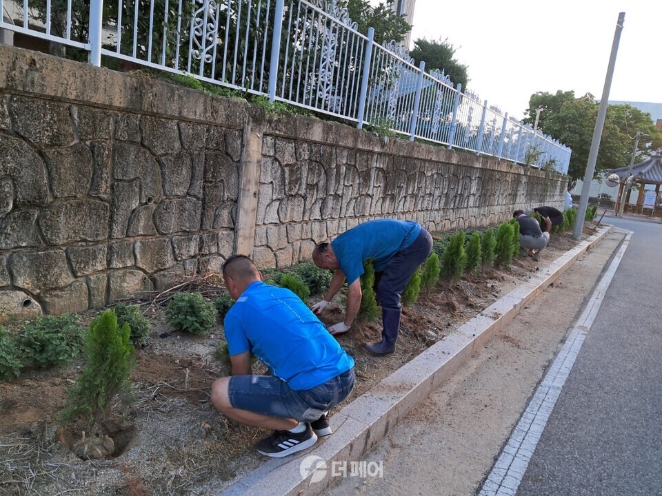충주시 용산동 새마을협의회 측백나무길 조성 / 사진제공=충주시