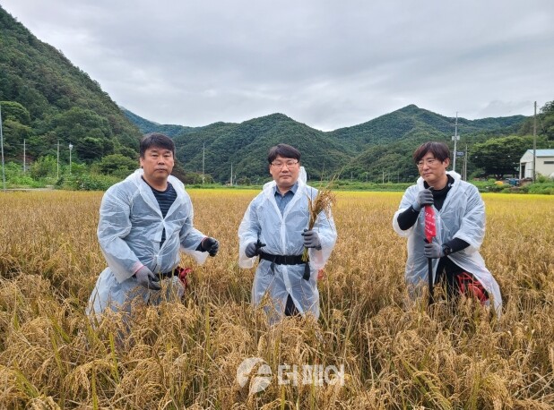 충청지방통계청 충주사무소 쌀 생산량(예상량) 조사 / 사진제공=충주시