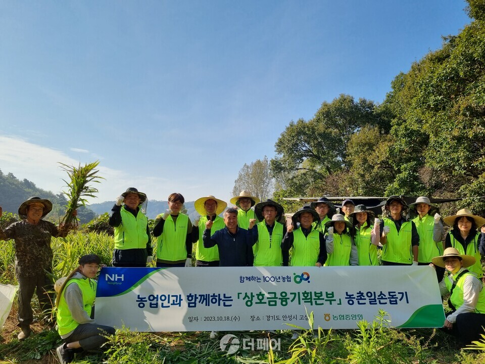 농협 상호금융기획본부가 18일 경기도 안성시에 위치한 고삼농협 관내 농가를 찾아 일손을 보탰다. / 사진제공=농협중앙회