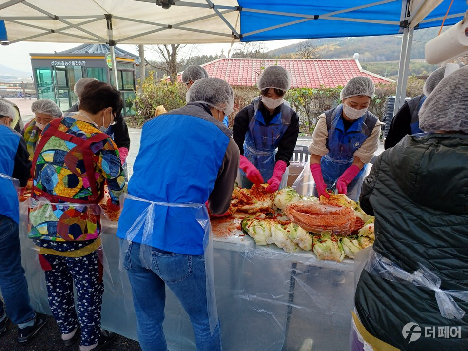 금감원 신니 선당마을에서 김장나눔 행사 / 사진제공=충주시