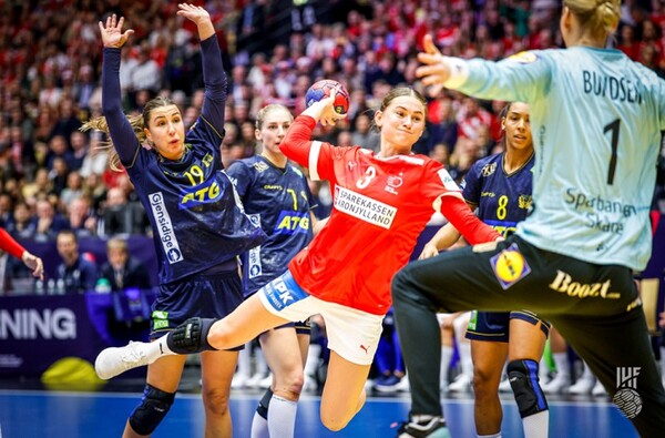 사진 제26회 세계여자핸드볼선수권대회 동메달 결정전 덴마크와 스웨덴의 경기 모습, 국제핸드볼연맹
