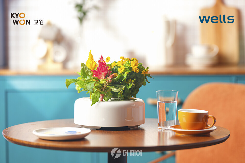 교원 웰스(Wells), 꽃모종 정기 구독 상품 ‘플로린(FLORIN)’ 이미지 / 사진제공=교원