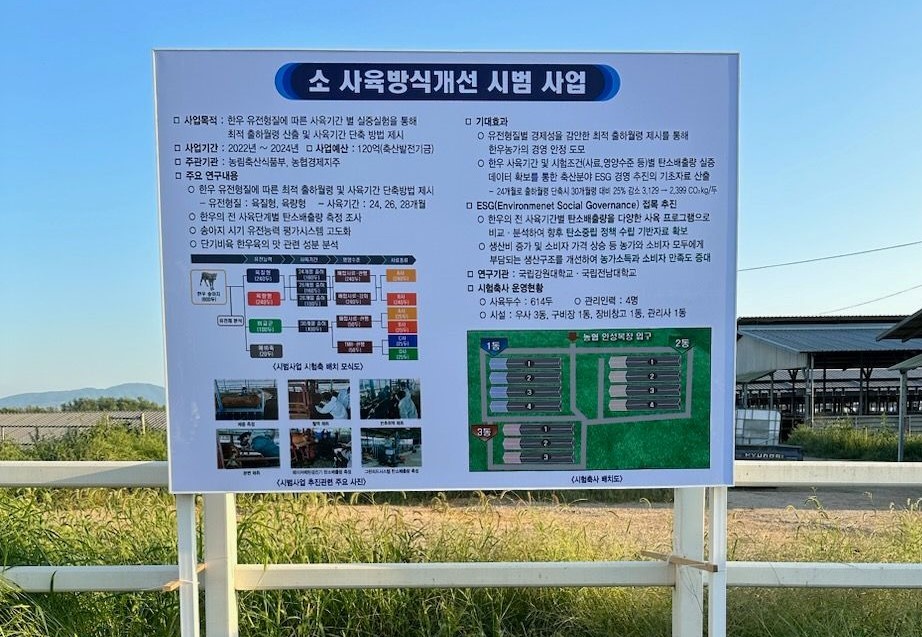 사진제공=농협 / 소 사육방식 개선 시범사업 사육 월령별 한우 본격 출하
