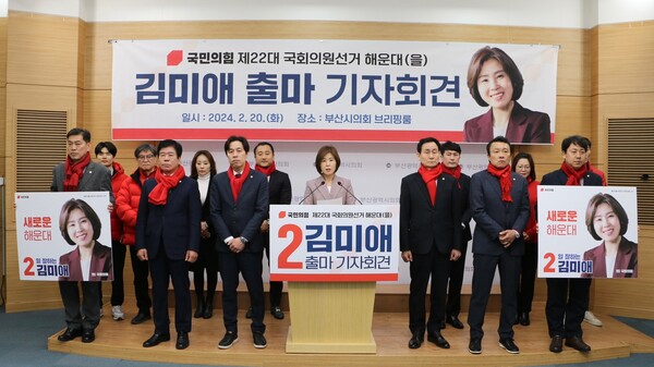 사진제공=김미애 의원실 / 22대 총선 출마 기자회견 중인 김미애 의원