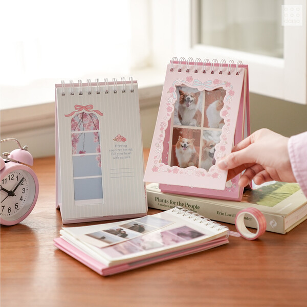 사진제공=다이소 / 봄봄 점착식 스탠딩 앨범 사진