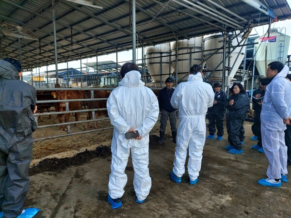 사진제공=충주시 농기센터 / 한우농가 컨설팅 현장 사진