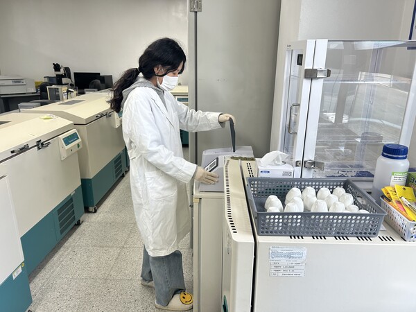 사진제공=충주시 / 충주시농기센터 퇴비 부숙도 검사 모습