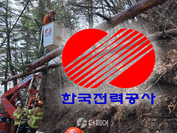 강원도 삼척시에서 3월 27일 한국전력공사 소속 50 노동자가 고소작업대를 이용해 전선에 걸린 나무를 제거하다 쓰러지는 나무에 머리를 맞는 사고가 발생했다. / 사진=더페어