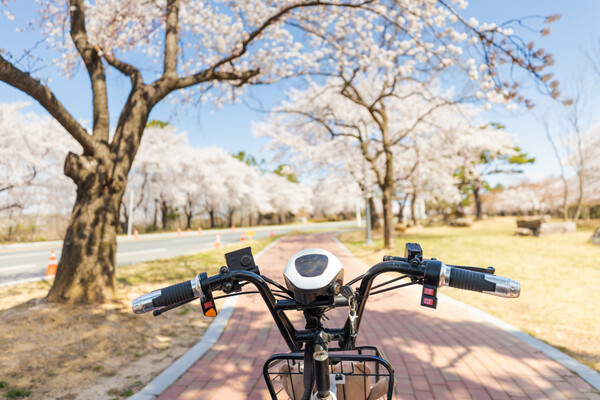 사진제공=이랜드파크 / 조이풀 피크닉 패키지 중 스쿠터 홍보 이미지