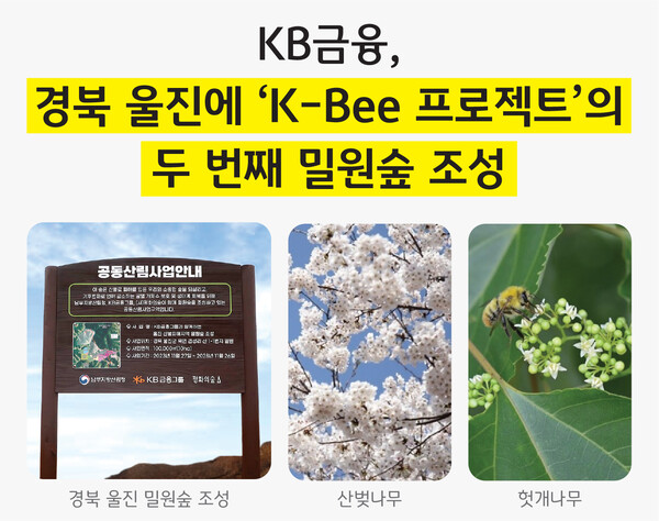 사진제공=KB금융그룹 / K-Bee 프로제특 두번째 밀월술 조성