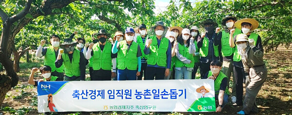 사진제공=농협 / 일손돕기에 나선 축산연구원들이 기념 촬영을 하고 있는 모습