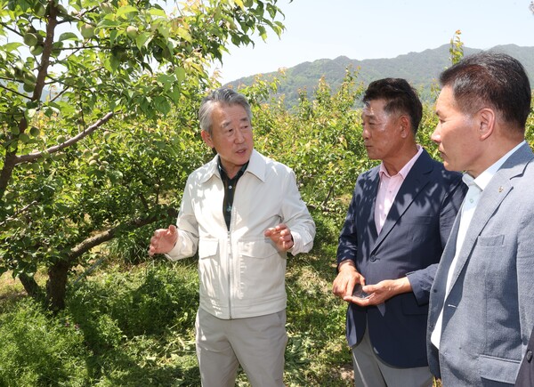 사진제공=농협 / 강호동 농협중앙회장(왼쪽)이 3일 경남 하동군 매실농가에 방문해 생육상황을 점검하고 있는 모습