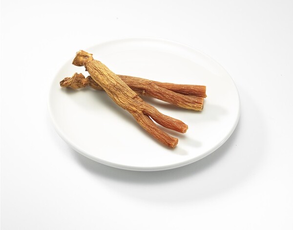 충남대학 박상민 교수팀은 진세노사이드Rc가 여러 조건에서 유발되는 근육세포의 근감소 개선 효과가 있다는 점을 확인하고 작용기전을 규명했다. 