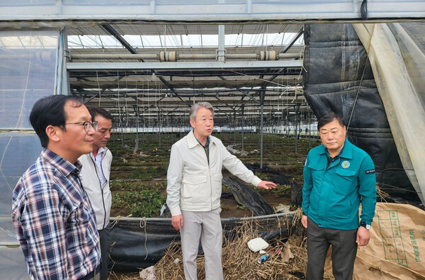 사진제공=농협 / 지난 6일 강호동 농협중앙회장이 경남 합천지역 집중호우 피해농가를 방문하여 살펴보고 있다.