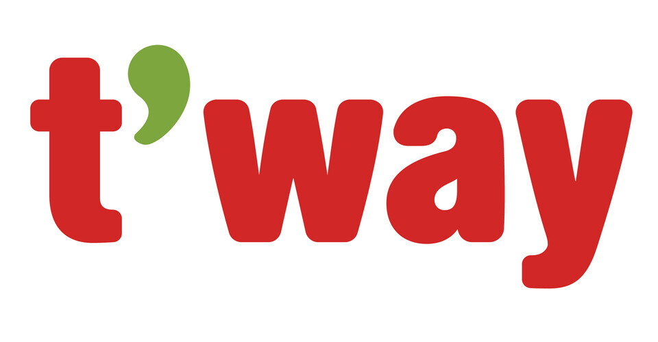 티웨이항공 CI 이미지 / 사진=더페어 DB