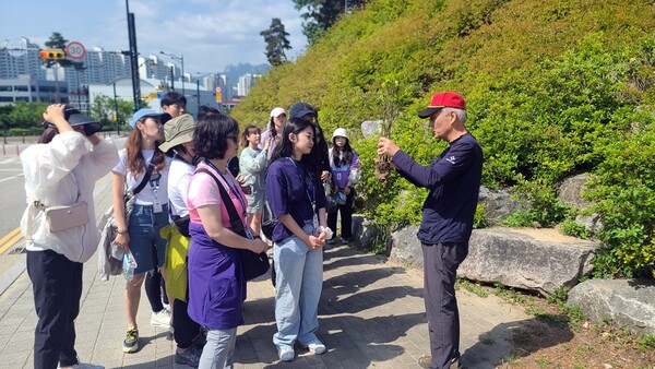 사진제공=의정부시 / 의정부을지대학교병원과 숲길지킴이 활동 실시