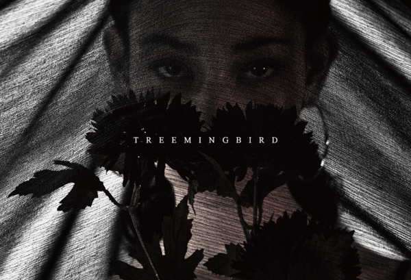 사진제공=트리밍버드