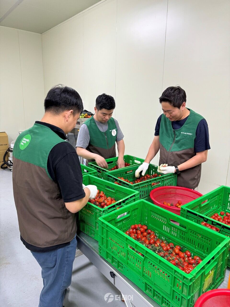 여주시에 있는 푸르메소셜팜에서 GS더프레시 임직원들이 방울토마토 수확 봉사활동을 하고 있다. / 사진제공=GS더프레시