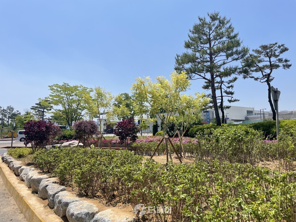충주를 푸르게 충주시, 정원도시 조성 순항 충주역 앞 교차로 정원 / 사진제공=충주시