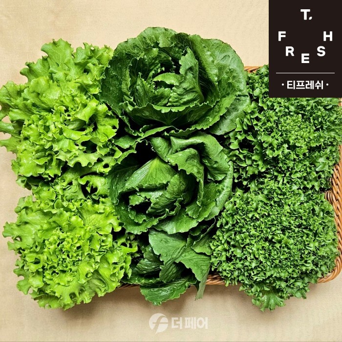 티몬 티프레쉬 유럽 샐러드 채소 / 사진제공=티몬
