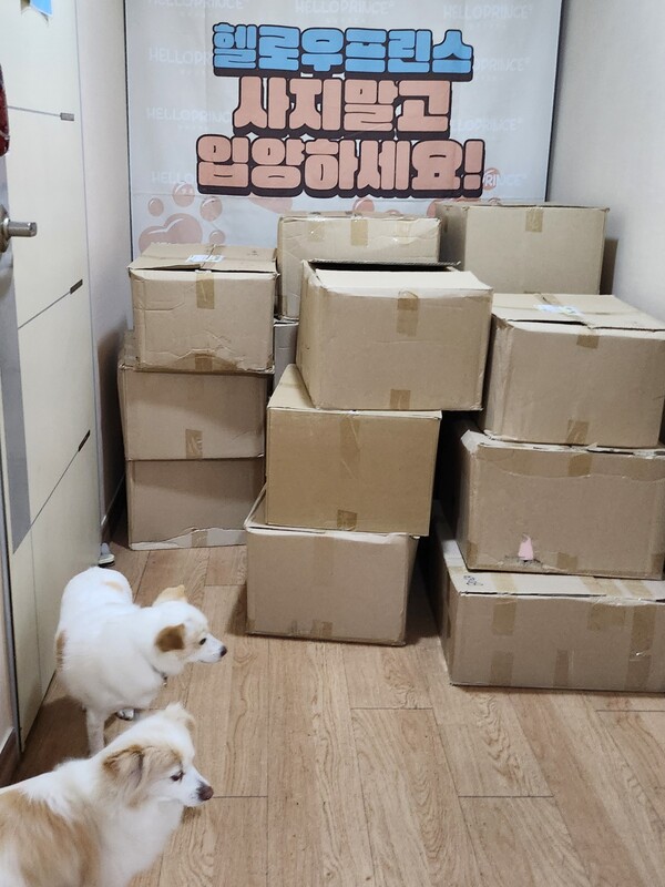 테일러스, 헬로우프린스에 유기견 위한 기부 실시/사진제공=럭스테일