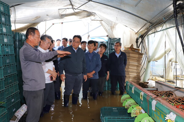 충남 침수피해현장 / 사진=농협