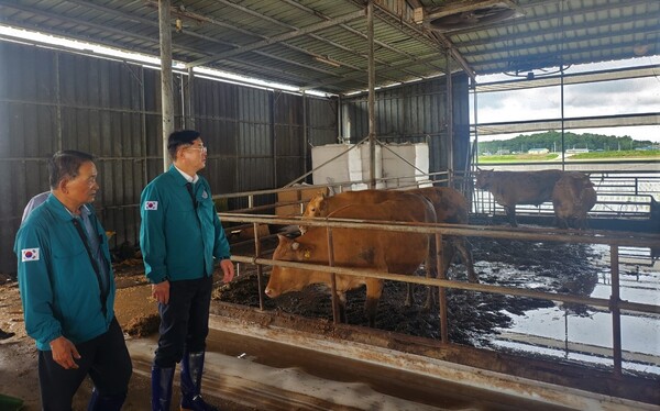 지난 10일 전북 익산의 침수 피해 축산 농가를 찾은 안병우 농협 축산경제대표이사(사진 오른쪽)가 축사를 둘러보고 있다 / 사진=농협