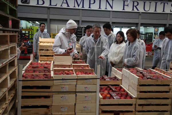 12일 강호동 농협중앙회장(왼쪽에서 3번째)이 프랑스 시내 한인마트를 방문하여 농협 농식품을 현지인에게 홍보하고 있다 / 사진=농협