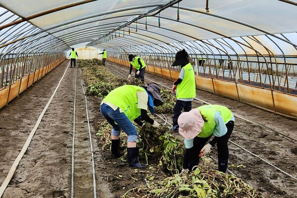마트전략부_농협경제지주, 전북 익산에서 집중호우 수해복구 지원 / 사진=농협