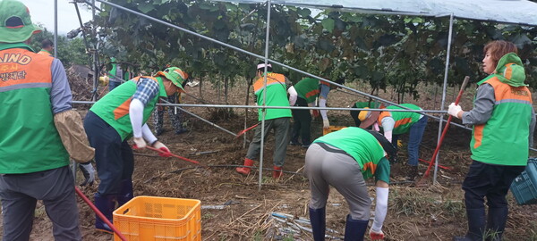 충주시 지역자율방재단(단장 한수덕)이 영동군 심천면 일원에서 발생한 수해 피해 복구 지원에 나섰다고 24일 밝혔다.