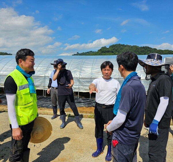 이동근 농협중앙회 농업농촌지원본부장(왼쪽 첫번째) , 박정현 부여군수(가운데 흰티), 조남엽 세도농협 조합장(오른쪽에서 두번째)이 피해현장 복구 방안을 논의하고 있다. / 사진=농협