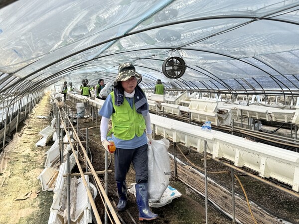 황재현 IT부문 부행장과 직원들이 수해복구 작업을 진행하고 있다. / 사진=NH농협은행