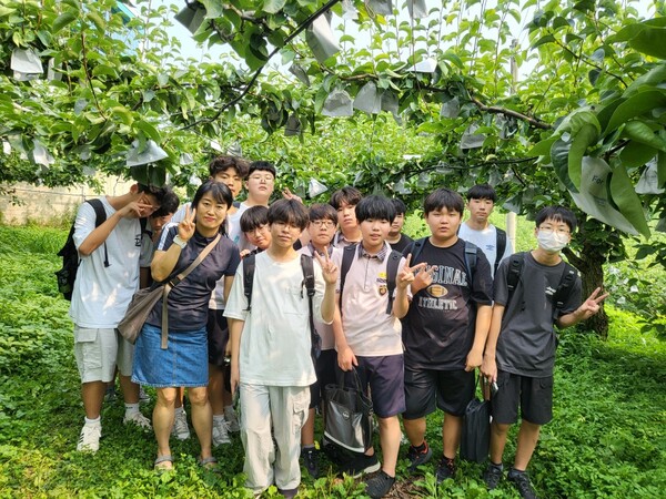 미덕중학교 학생들이 충주시학교 4-H회원 농가체험활동을 하며 구슬땀을 흘렸다. 사진=충주시.