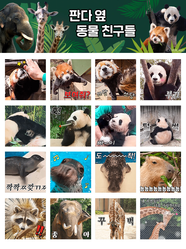 판다 가족 바오패밀리부터 코끼리, 기린 등 에버랜드 동물원에 살고 있는 동물 친구들이 카카오톡에 등장했다. 사진= 삼성물산