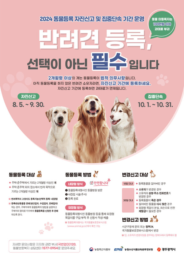 반려견 등록 / 사진=광주광역시