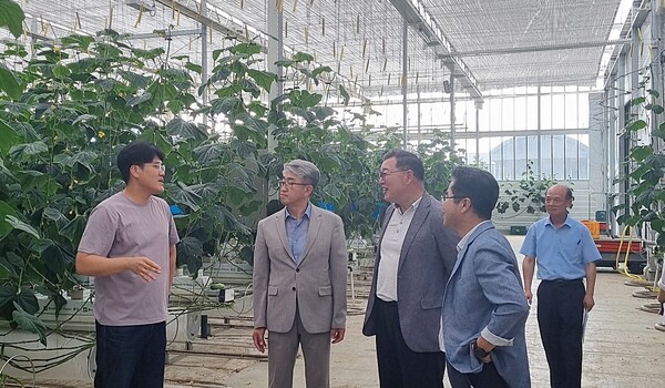 지난 1일 충주부시장으로 취임한 김진석 부시장은 민선 8기 주요 역점사업 추진 현장 점검의 일환으로 시 농업정책국 소관 주요 사업장을 방문·점검했다. 사진= 충주시