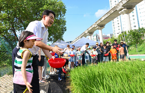 김동근 시장이 8월 2일 중랑천 벼농사 체험장에서 시민들과 오리 방사 행사에 참여하고 있다. 사진= 의정부시