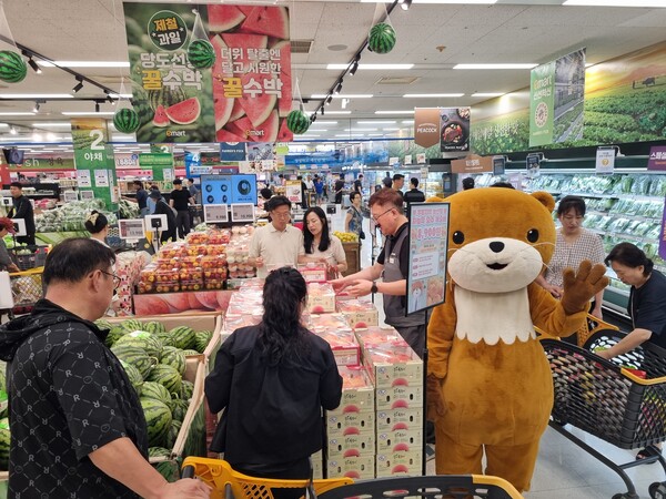 충주시가 8일부터 ‘하늘작 충주복숭아’ 나들이 행사를 추진한다고 7일 밝혔다. 사진= 충주시