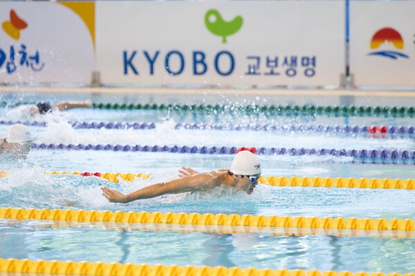 수영  선수들이 힘차게 물살을 가르고 있다. 사진=교보생명