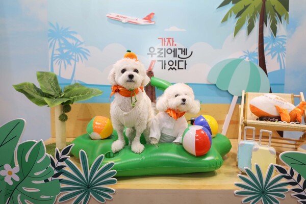 제주항공, 반려동물과 해외여행 떠나요 / 사진=제주항공