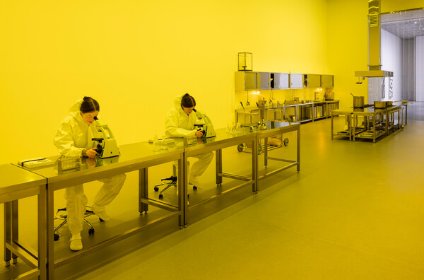 Elmgreen & Dragset, Untitled (the kitchen), 2024_Photo Andrea Rosetti.